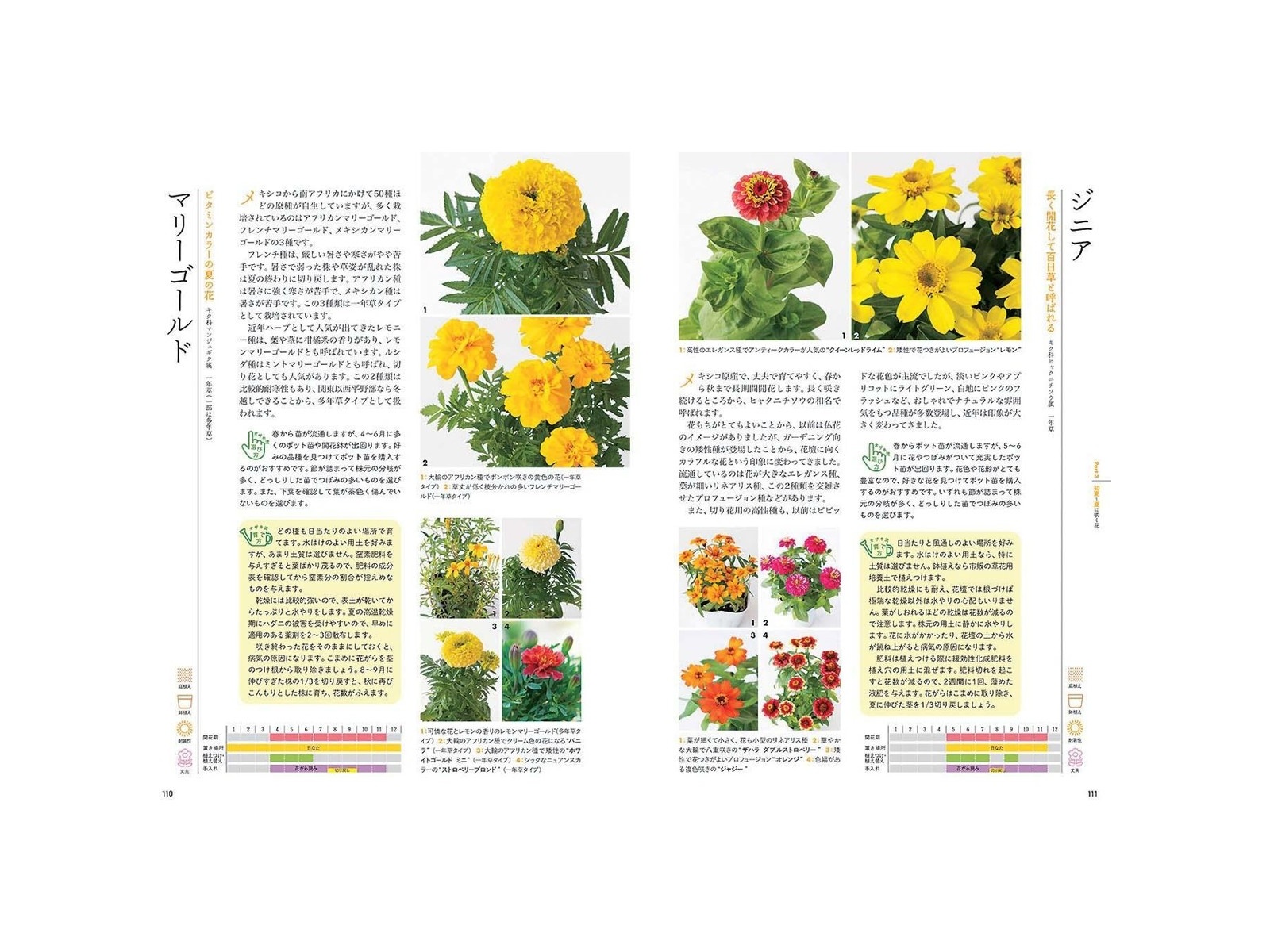 家の光協会 枯らさず長く楽しむ花の育て方図鑑 1冊| コープこうべネット