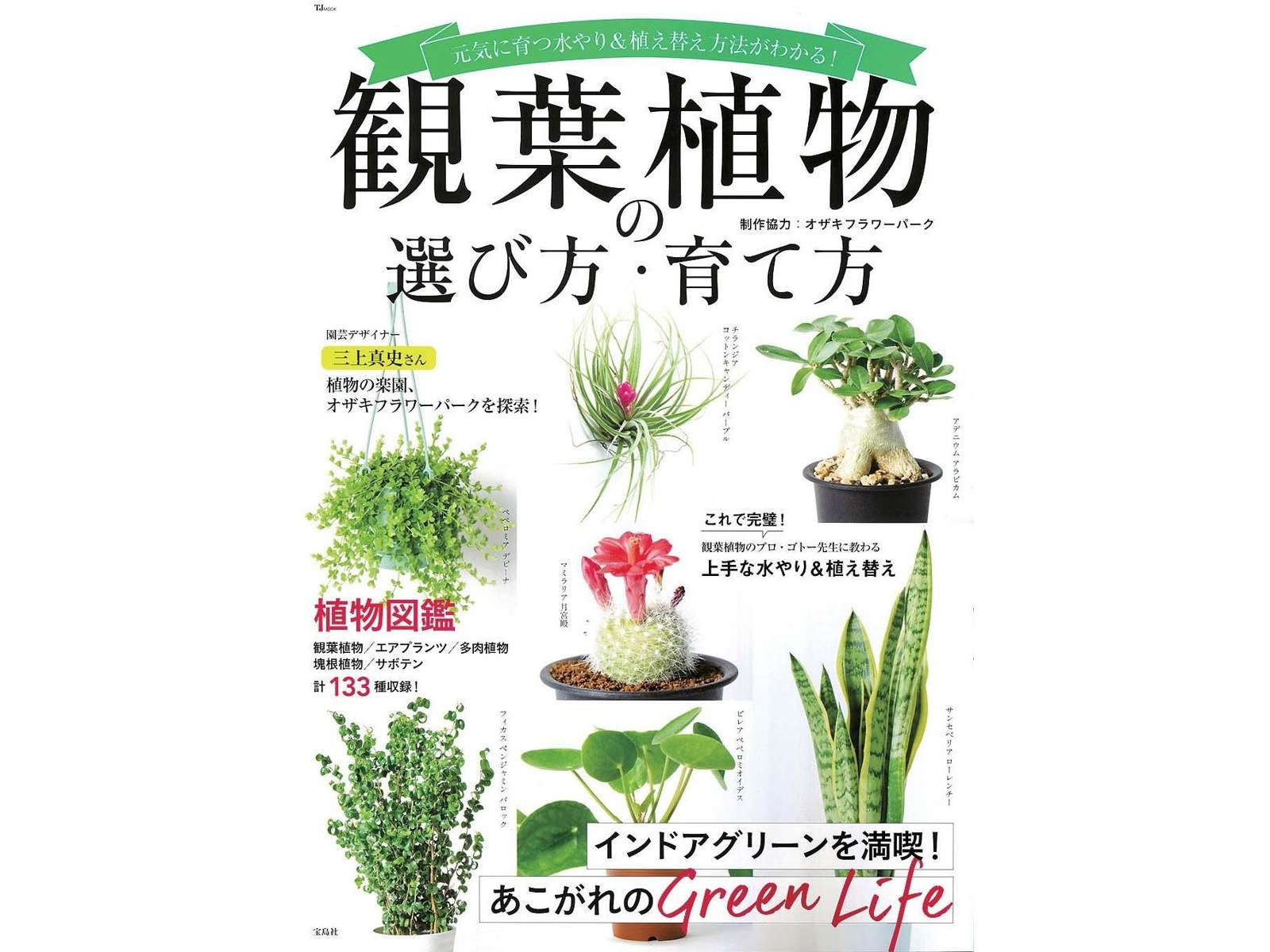 宝島社 観葉植物の選び方・育て方 1冊| コープこうべネット