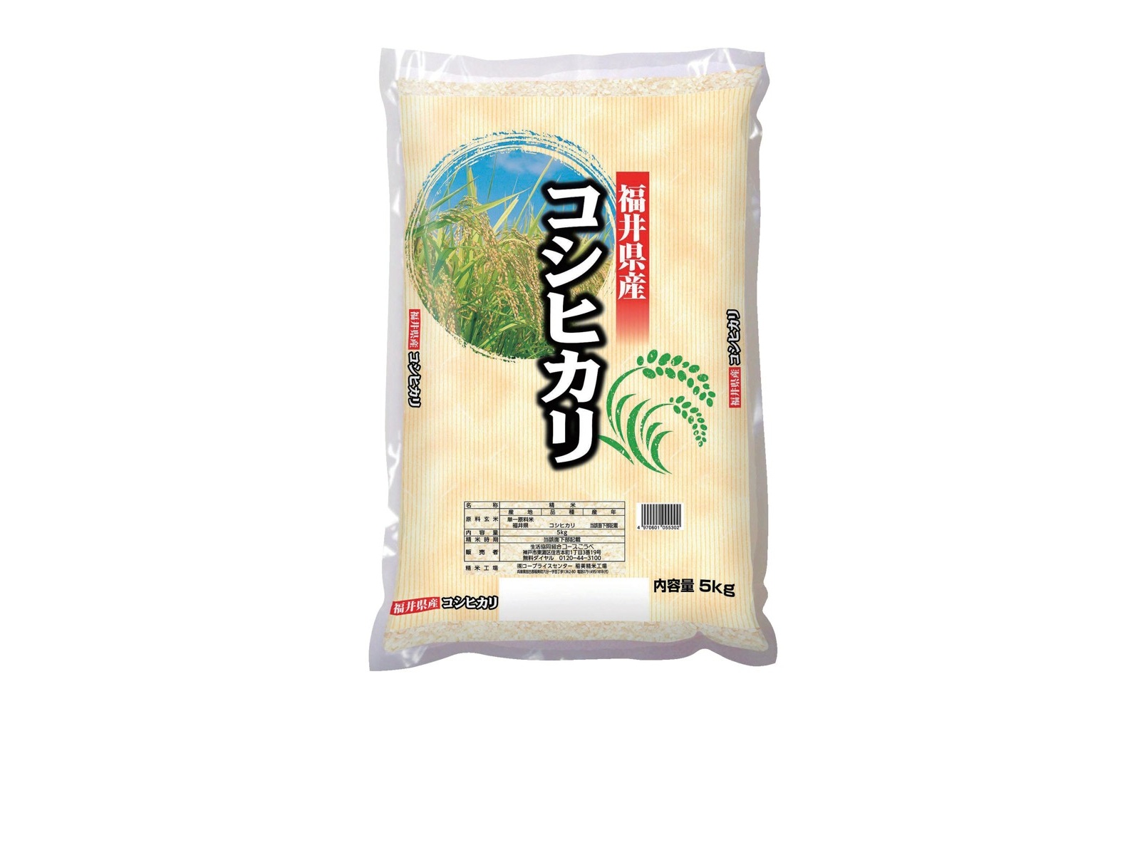 米 6kg 300g お米 福井県産 こしひかり